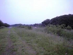 入間川キャンプ