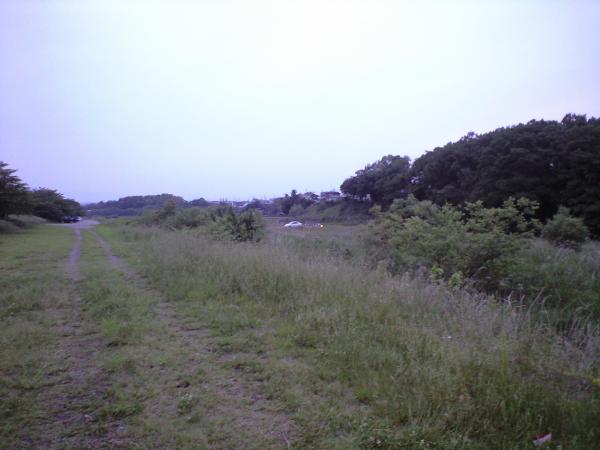 入間川キャンプ