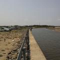 栗山川河口 (1)
